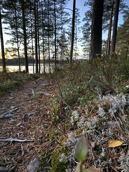 Klicka för att se förhandsgranska