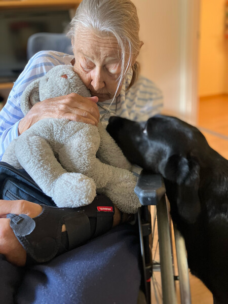Klicka för att se förhandsgranska